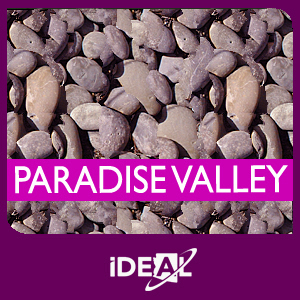 Student Work at PVUSD (Elementary)